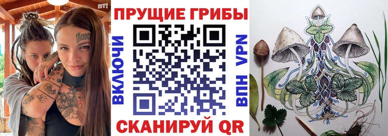 Купить  Петушки  Псилоцибиновые грибы Magic Shrooms 